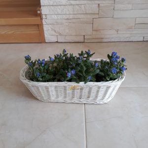 biely prútený kôš na kvety, kvetináč